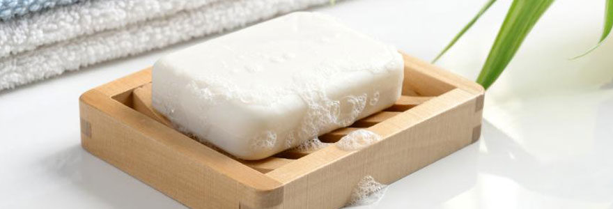 savon lait de chèvre